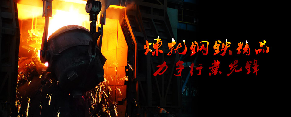 廣東大明鋼鐵實(shí)業(yè)有限公司Banner圖三