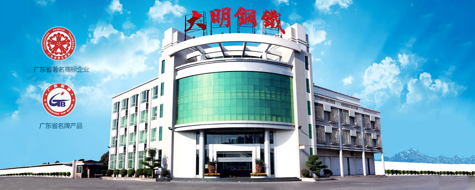 Guangdong Daming Steel Industrial Co. Ltd.